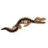 Mosasaurus