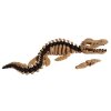 Mosasaurus