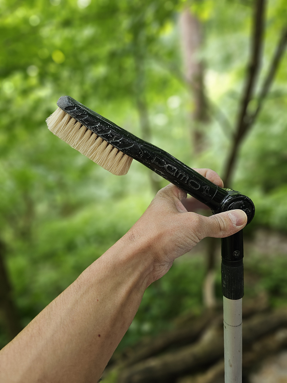 Review of Pamostick Regular