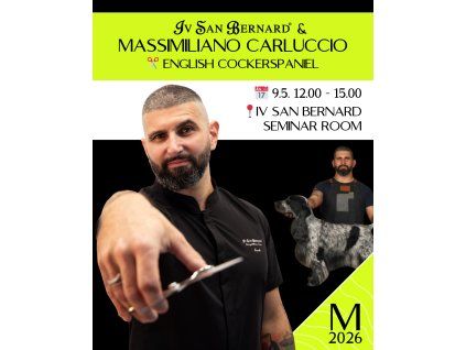 SAT 9.5. ✂️ MASSIMILIANO CARLUCCIO - English Cocker Spaniel  by Iv San Bernard
