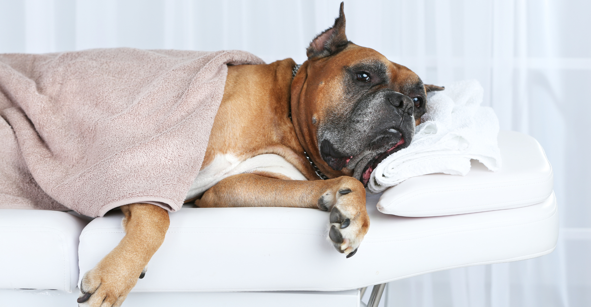 8 důvodů, proč začít se SPA procedurami