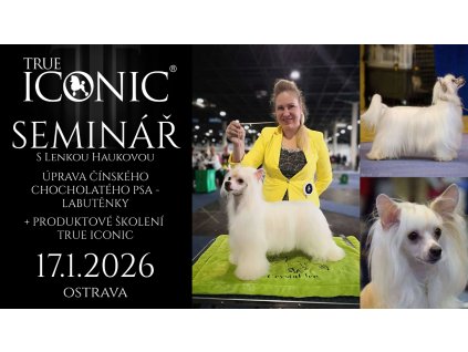 Snímek obrazovky 2025 12 13 203809