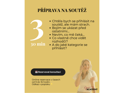 Konzultace: Příprava na soutěž