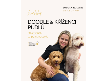 BáraDOODLE