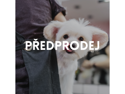 předprodej