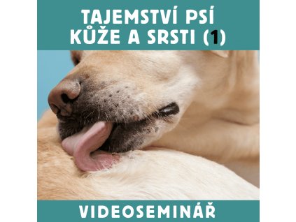 videoseminar obr ctverec.012