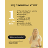 Konzultace: Můj start v groomingu