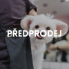 předprodej