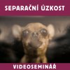 videoseminar obr ctverec.008
