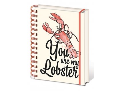 friends pratele poznamkovy blok you are my lobster