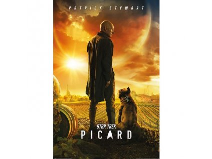 plakat star trek picard 5f7be969eee22