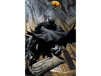 dc comics batman plakat night watch nocni hlidka