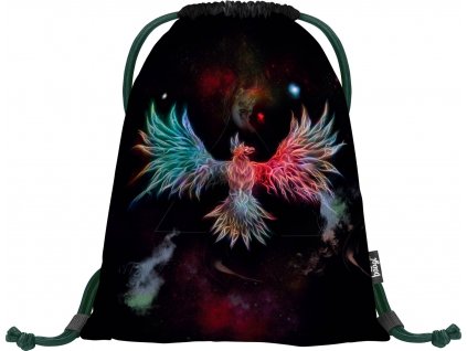 sacek na obuv fenix 695966 29