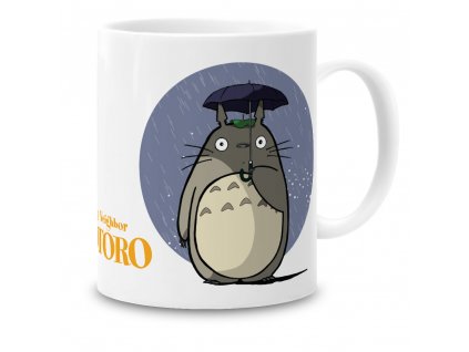 TTR02 G001 Totoro 2
