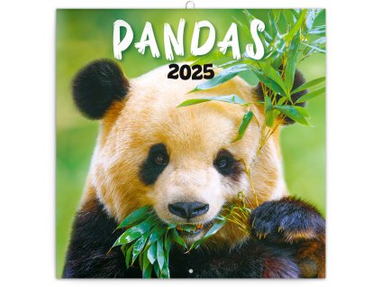 Poznámkový kalendář Pandy 2025, 30 × 30 cm