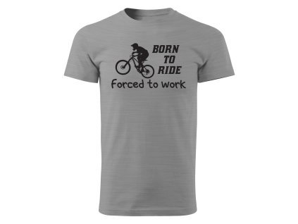 DL01 023GR Bord to ride