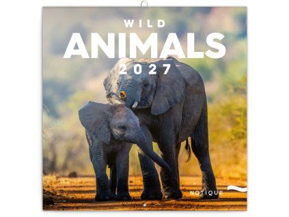 pgp 36308 z tit