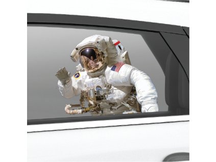 nasa ride with astronaut