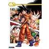 poster dragon ball super plakat Goku story