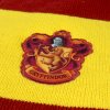 harry potter zimni sala nebelvir gryffindor 2