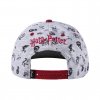 harry potter snapback ksiltovka bradavice 2