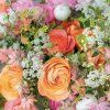 pgp 36341 z 10