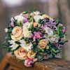 pgp 36341 z 01
