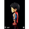Figurka Superman - XXRAY