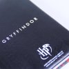 harry potter sada bloku nebelvir gryffindor 9