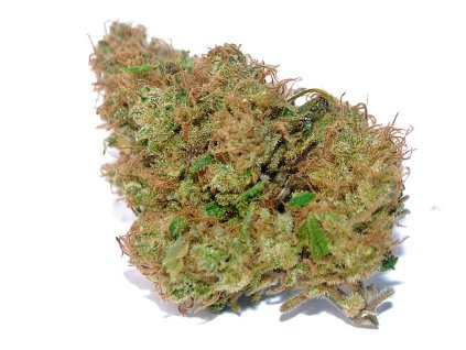 Harlequin CBD 9 %