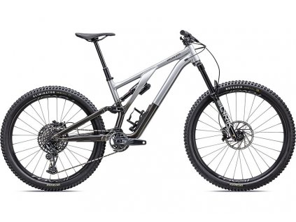 SPECIALIZED Stumpjumper EVO Elite Alloy GLOSS SILVER DUST / BLACK TINT