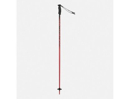 Rossignol Lyžiarske palice SVG