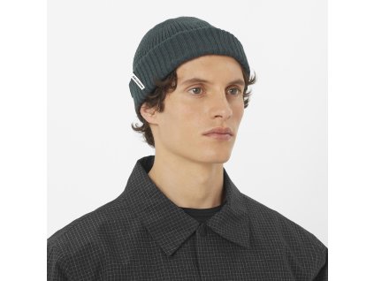 Čiapka Salomon DOCKER BEANIE U-GREEN GABLES GREEN GABLES (Veľkosť OSFA)