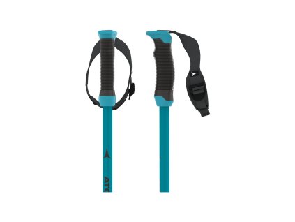 Lyžiarske palice Atomic Redster X CARBON SQS Teal Teal Tension (Dĺžka 120)