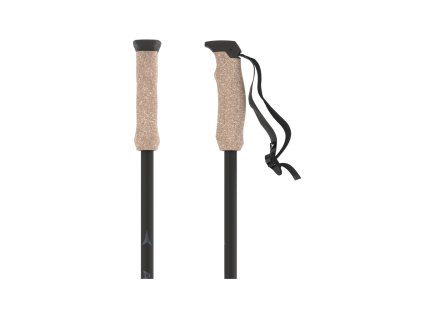 Lyžiarske palice Atomic AMT CARBON Black Black (Dĺžka 110)