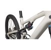 SPECIALIZED Turbo Levo SL Expert Carbon GLOSS BIRCH / TAUPE