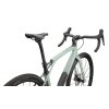 Specialized Diverge STR Comp Gloss White Sage / Pearl