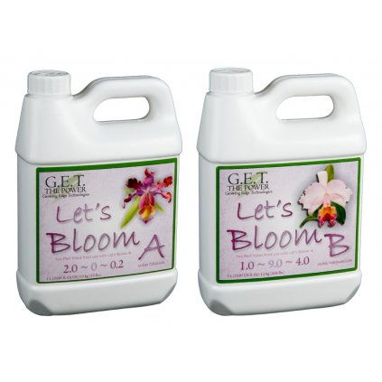 GET Lets Bloom A+B 4 l