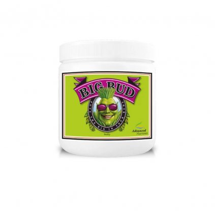 Advanced Nutrients Big Bud Powder 500 g