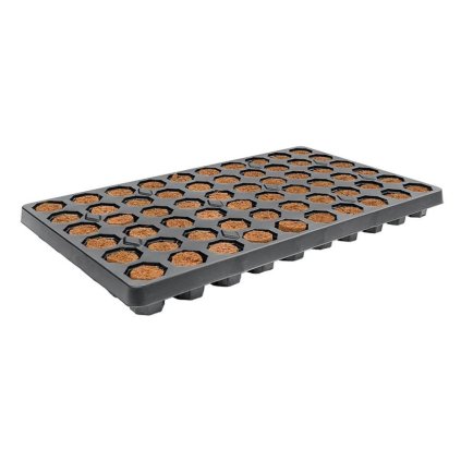Root!t Dry Peat Free 60 Cell Filled Tray se sadbovačem, 52x30x4 cm