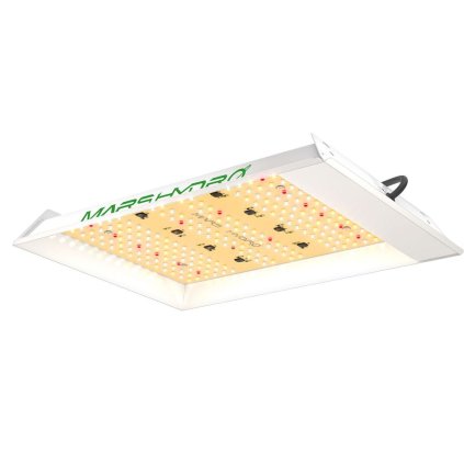 Mars Hydro TS600 Quantum Board
