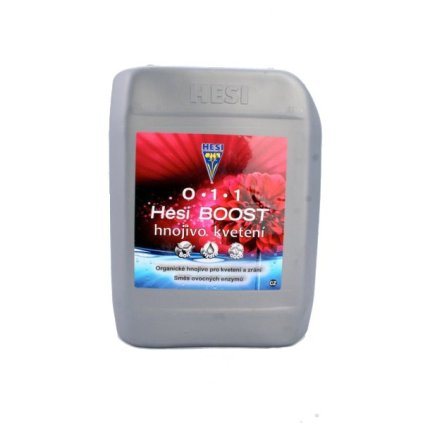 HESI Boost