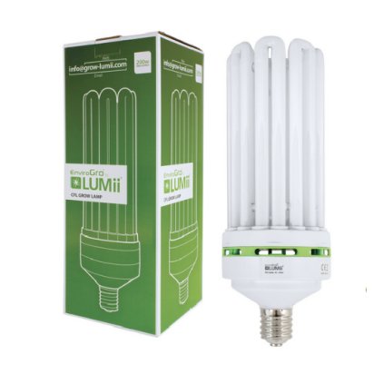 lumii cfl