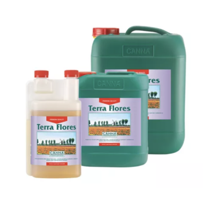 Canna Terra Flores