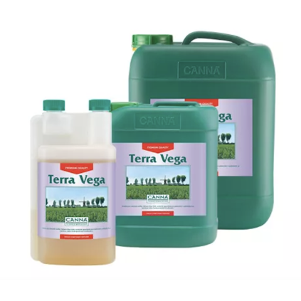 Canna Terra Vega