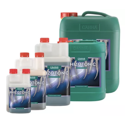 Canna Rhizotonic
