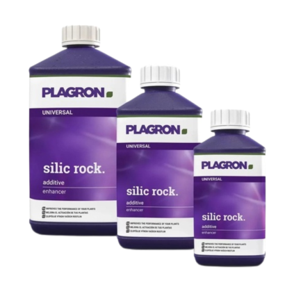 Plagron Silic Rock