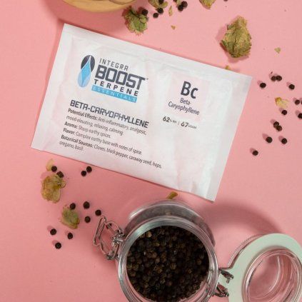 Integra Boost Terpene Essentials B-Caryophyllen 67g, 62% vlhkost