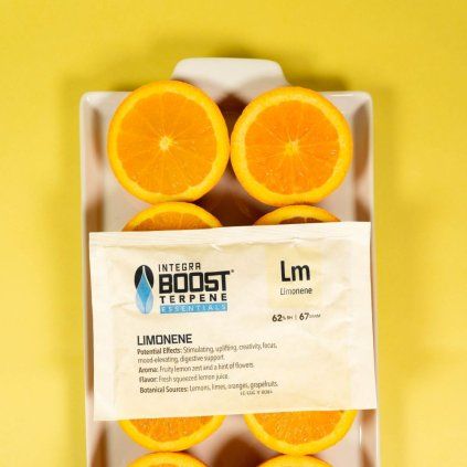 Integra Boost Terpene Essentials Limonen 67g, 62% vlhkost