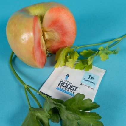 Integra Boost Terpene Essentials Terpinolen 4g, 62% vlhkost